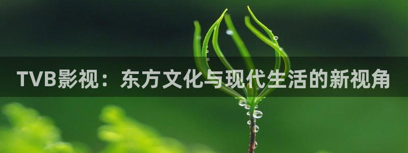 羞羞影视免费：TVB影视：东方文化与现代生活的新视角