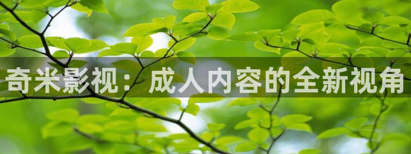 羞羞影院免费体验区91：奇米影视：成人内容的全新视角