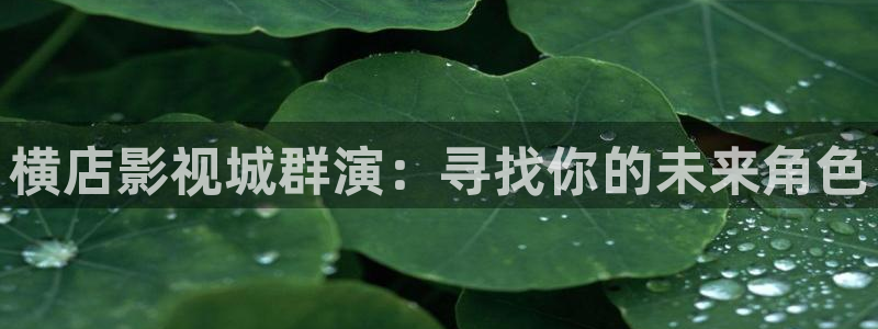 日本羞羞影院：横店影视城群演：寻找你的未来角色