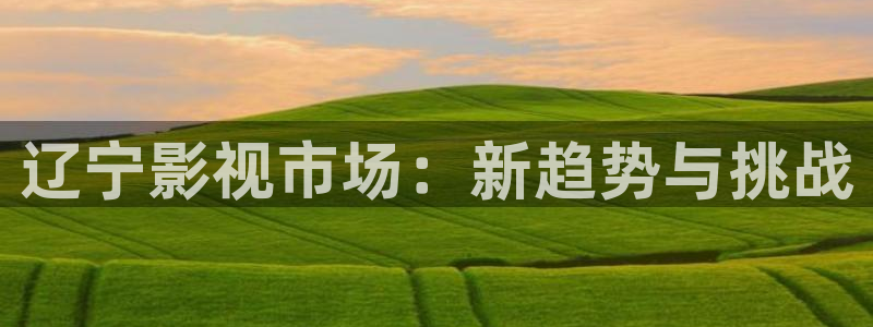 羞羞影院在线观看视频：辽宁影视市场：新趋势与挑战