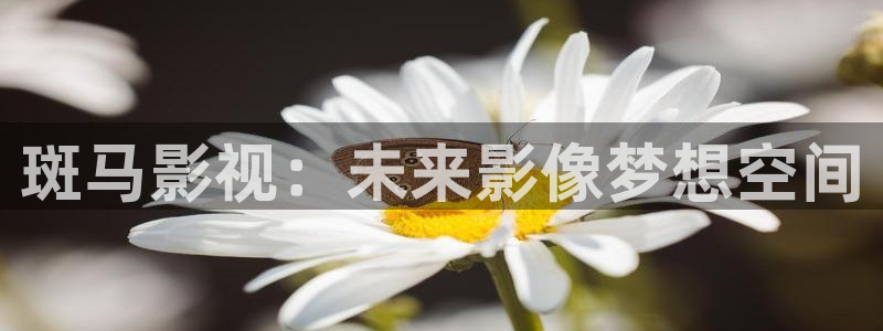 羞羞影院cx：斑马影视：未来影像梦想空间
