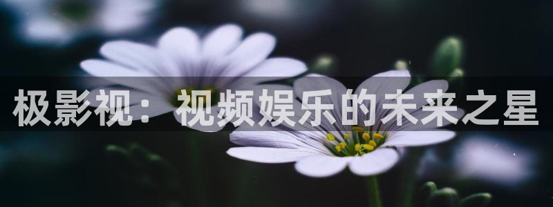 羞羞影院体验区免费观看：极影视：视频娱乐的未来之星
