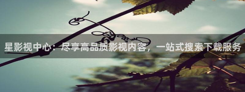 深夜羞羞影院：星影视中心：尽享高品质影视内容，一站式搜索下载服务