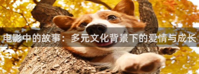 午夜影院羞羞影院：电影中的故事：多元文化背景下的爱情与成长