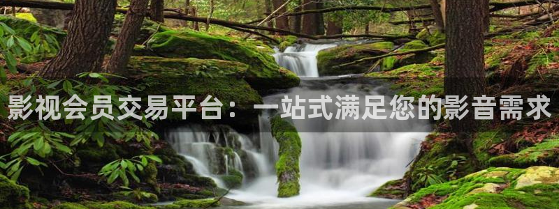 羞羞影院网站：影视会员交易平台：一站式满足您的影音需求
