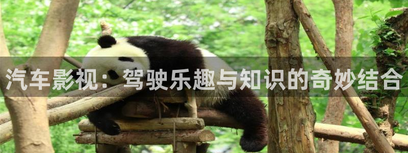 美女羞羞影院大全：汽车影视：驾驶乐趣与知识的奇妙结合